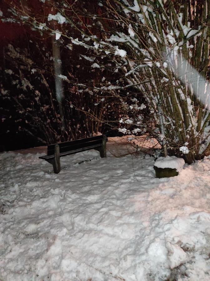 La Terrasse 226 Διαμέρισμα Malmedy Εξωτερικό φωτογραφία